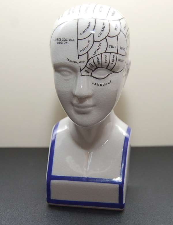 Phrenology head